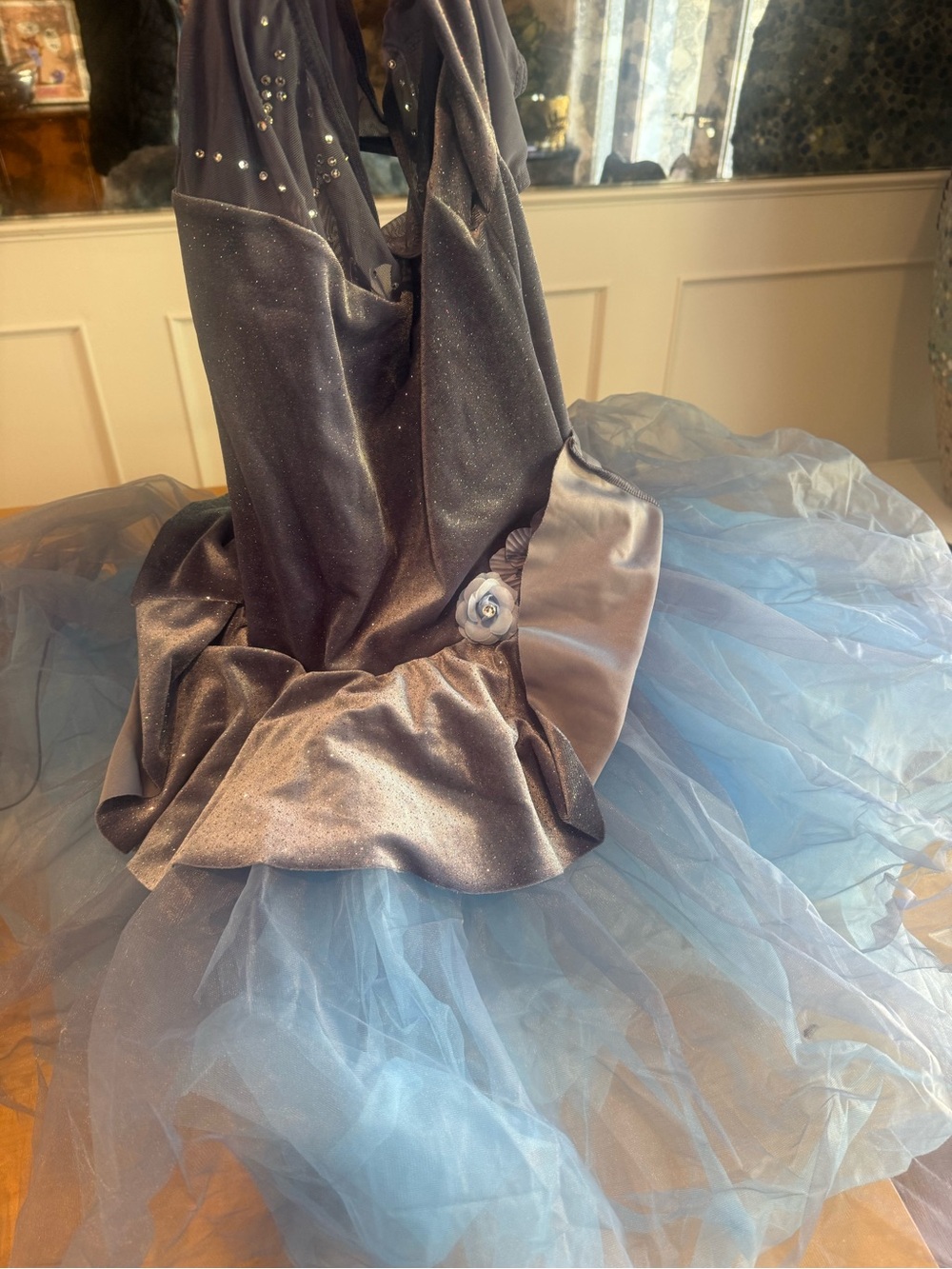 Women’s Sparkle Blue Tulle Princess Costume Dress